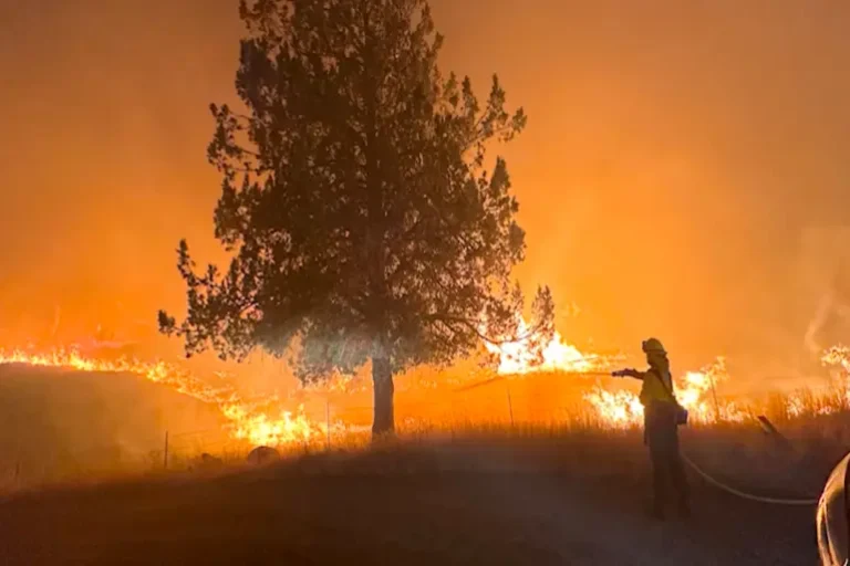 Pacific Northwest Wildfires Surge: Over 1 Million Acres Burned Across Oregon and Washington Pacific Northwest Wildfires Surge