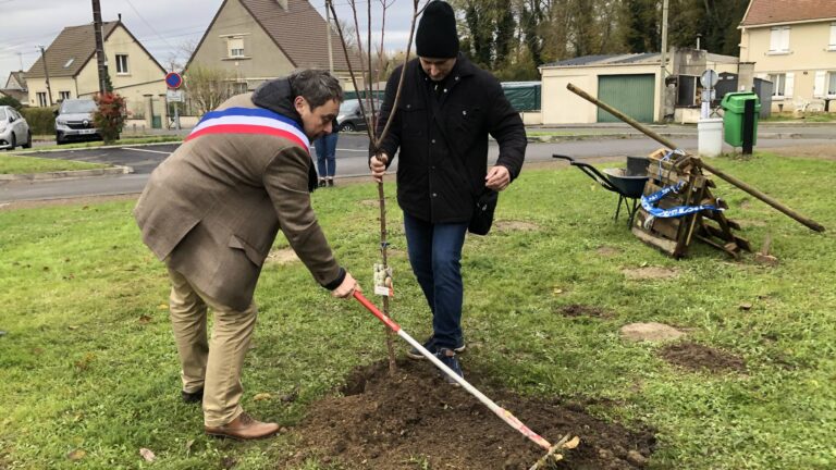 In Ormoy-Villers, we planted this Saturday, November 23, a tree like no other, a tree of co-parenting