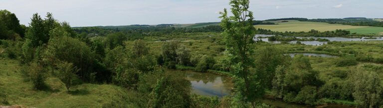 Objective 2,000 members for the Hauts-de-France Conservatory of Natural Spaces