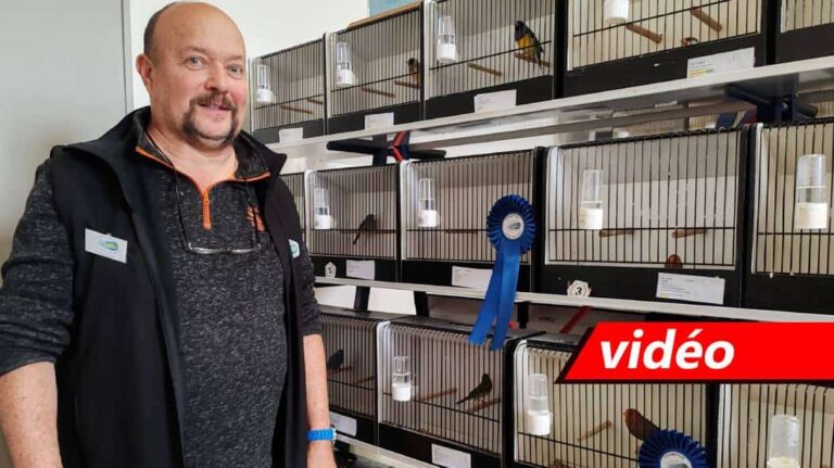 More than 1,100 exceptional birds exhibited at the first regional championship in Hermes