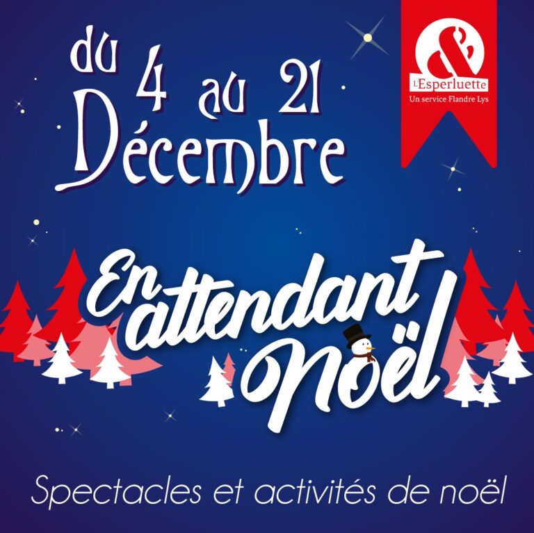 Magical Christmas events in the libraries of Flandre Lys