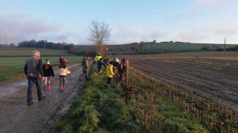 Saint-Martin-Le-Noeud. A hedge of 100 trees planted by schoolchildren with the Rapunzel association