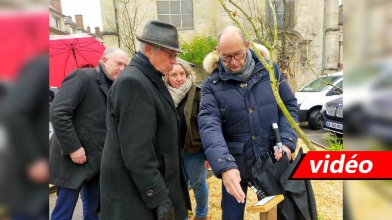 Compiègne. Inauguration of a tree of life for blood and organ donation