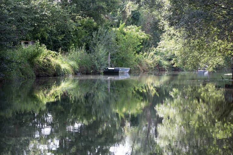 World Wetlands Day: a series of events in Amiens