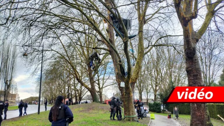 Compiègne. The police dislodged the anti-channel squirrels Seine Nord