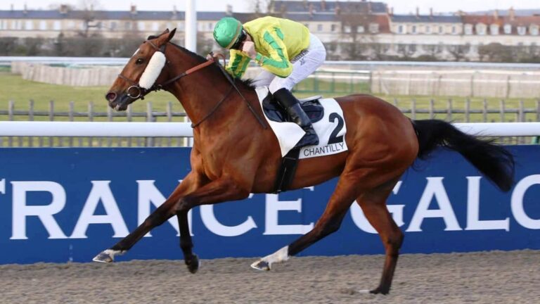 Trained in Lamorlaye, Nabunga ended her career where she started ten years earlier, in Chantilly